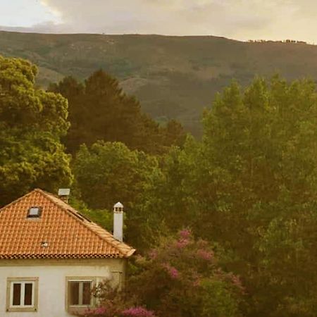 Casa Das Essencias, Quinta De Santo Antonio โกวิลา ภายนอก รูปภาพ